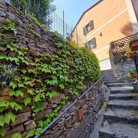 Un Giardino Su By World * Camogli