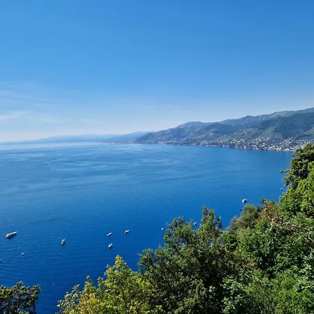Un Giardino Su By World * Camogli